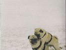 Wolf Alice - 'Fluffy' heavyweight white vinyl 7