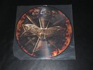 DISMEMBER - Dismember - Picture Vinyl - LP  Regain Records