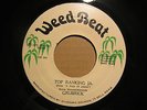 Grubrick Top Ranking JA Killer Roots 7