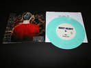 HAVE HEART 7” dirty green /8 sXe nyhc punk step forward no tolerance power trip