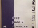 Deep Puddle Dynamics 