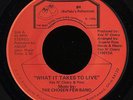 Modern Soul 45   The Chosen Few Band   What It Takes To Live   BR   rare VG++
