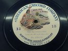 #13 AMERICAN RECORD COMPANY Great big Chicapoo Chief #030533 Blue 78 Arthur Coll