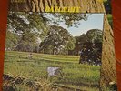 DAYLIGHT   SAME S/T EPONYMOUS   UK RCA LP 1971   FEMVOX PSYCH ACID FOLK