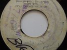 ROY SHIRLEY & MIGHTY VIKINGS / FLYING REGGAE / LISTEN