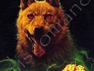 YUJI OHNO soul jazz funk OST THE GOLDEN DOG LP jap Orange House insert 1979 HEAR