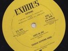 '81 DIGI ROOTS 10