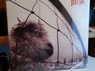 1993 Pearl Jam VS Vinyl Album New Sealed Rare A Beauty First Pressing