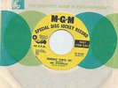 SOMEDAY YOU'LL CRY/ZEBRA IN THE KITCHEN - THE STANDELLS