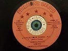 BOOTSY PHELPS & THE COMPLETE STRANGERS  FUN IN YOUR THANG RARE FUNK 45 PHILMORE