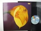 Swans,The Burning World,LP