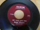 Blues Magoos Who do you love? garage blues on Ganim MP3
