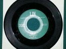 Steve Wright and the Lin-Airs  