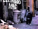 Fleetwood Mac - Peter Green's Fleetwood Mac [Vinyl New]