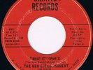 THE NEW ESTABLISHMENT IN SOUL Whip It RARE IOWA FUNK 45 on GRANTS