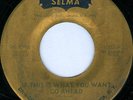 NAT BROWN If This Is What GROUP HARMONY BALLAD/NORTHERN SOUL 45 on SELMA