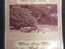 WATER INTO WINE BAND Harvest Time VERY RARE UK ACID PSYCH FOLK 1976 Mint
