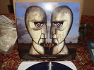 NEW IMPORT/PINK FLOYD/THE DIVISION BELL/COLORED VINYL