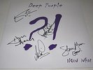 DEEP PURPLE Now What FULLY SIGNED - Vinyl LP Whitesnake Rainbow Gillan AUTOGRAPH