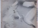 DONALD BYRD Free Form BLUE NOTE LP NY