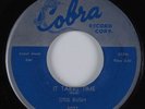 Blues 45 OTIS RUSH It Takes Time COBRA HEAR