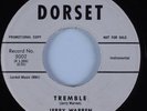 Instrumental Rocker Tittyshaker 45 JERRY WARREN Tremble DORSET HEAR