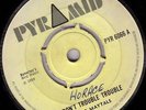 THE MAYTALS/SKINHEAD REGGAE/PYRAMID PYR6066/1969/DON'T TROUBLE TROUBLE..RARE