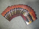 Watch Tower Sing Praises to Jehovah 1984 Rare Set of 14 LP's Missing # 10