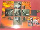 Guns n' Roses very rare vinyl Le Beau Geste Live in Paris Picture disc june 1992