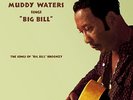 MUDDY WATERS**SINGS BIG BILL: SONGS OF BIG BILL BROONZY (180 GRAM VV)**VINYL