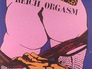 Vinyle 33T REICH ORGASM  