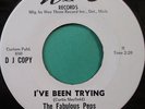 FABULOUS PEPS 	WEE THREE 1001 	I'VE BEEN TRYING (DJ) 	M- 1 SIDE 	$50.00
