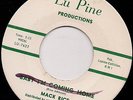 Northern Soul 45 - Mack Rice On Lu Pine 1019