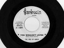 THE IDES OF MARCH - YOU WOULDN'T LISTEN - HARLEQUIN RECORDS - ONLY 200 MADE