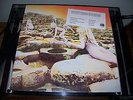 SEALED Led Zeppelin 'Houses Of The Holy' Atlantic SD 19130 CRC Mint/Sealed
