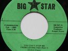 Rare Sweet Soul 45 - Bob Evans Jr - You Can't Stop Me From Loving You - BIG STAR
