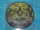 SKELETONWITCH FOREVER ABOMINATION LP LIMITED PICTURE DISC 11 TRACKS* BRAND NEW*