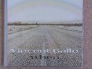 Vincent Gallo 'When' Vinyl LP, Warp