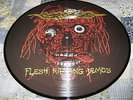 CARCASS flesh ripping demos PICTURE DISK LP Symphonies of Sickness napalm death