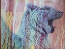 Amon Duul II Wolf City LP 1972 Australian original