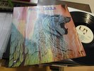 AMON DÜÜL WOLF CITY 1972 MINT GERMAN KRAUTROCK MONSTER