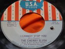 Michigan Garage 45: The Cherry Slush   Don't Walk Away   I Cannot Stop You   USA