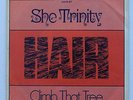 She Trinity - Hair / Climb That Tree - dt. President 14525