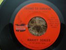 Rare Harvey Scales 45 on Magic Touch 