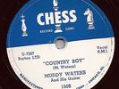MUDDY WATERS 