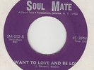 NORTHERN SOUL -- MARY HUNT  - I WANT TO  LOVE AND BE LOVED