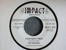Sheppards Poor Man's Thing Impact 1018 Promo 60's Garage Mint-