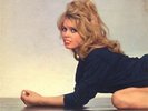 33T PETE RUGOLO “Behind BRIGITTE BARDOT” Rare Pressage USA Original 60's