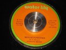 ANTHONY BROWN reggae funkyfied WATER LILY rare REGGAE FUNK 45 listen