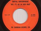 Obscure Fuzz Psych Garage 45 ROYAL ENTERPRISE Boy, Its All CARIBBEAN RECORDS mp3